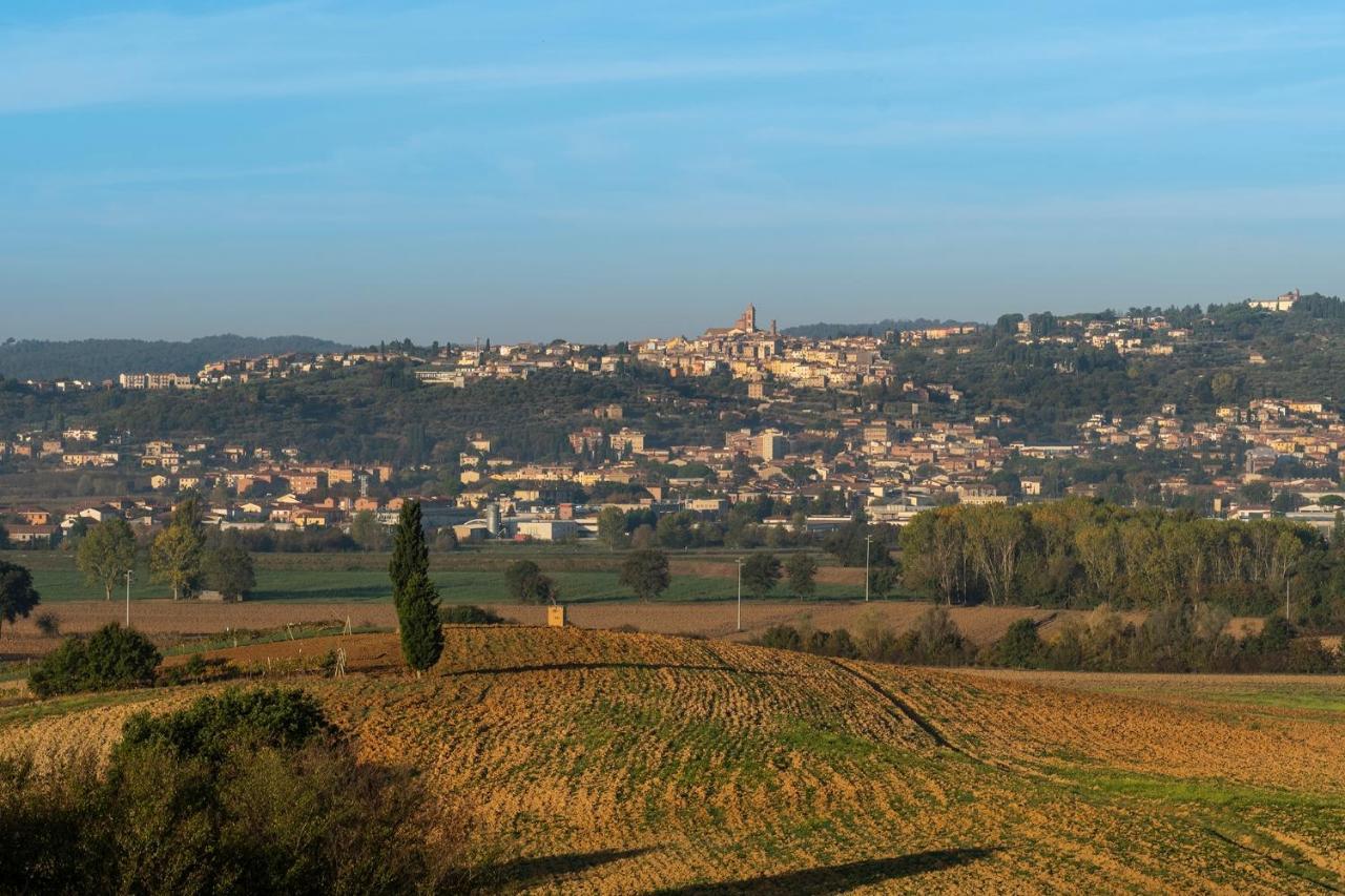 Podere Abbazia Alojamento de Acomodação e Pequeno-almoço Sinalunga